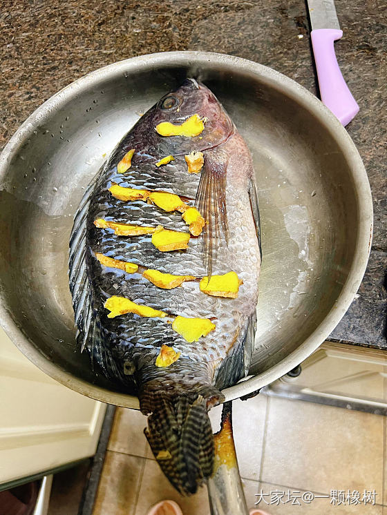 幸福的具像化_美食品味生活