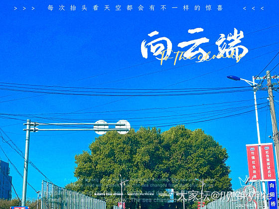 看了爱心樱桃的帖子。我发一个爱心的云。姐妹们，好好爱自己呀。_闲聊
