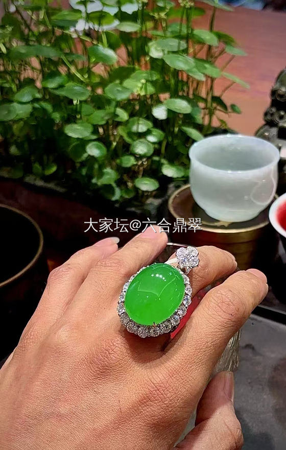 满色_翡翠