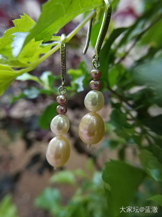 出闲置～各种淡水珍珠首饰_有机宝石