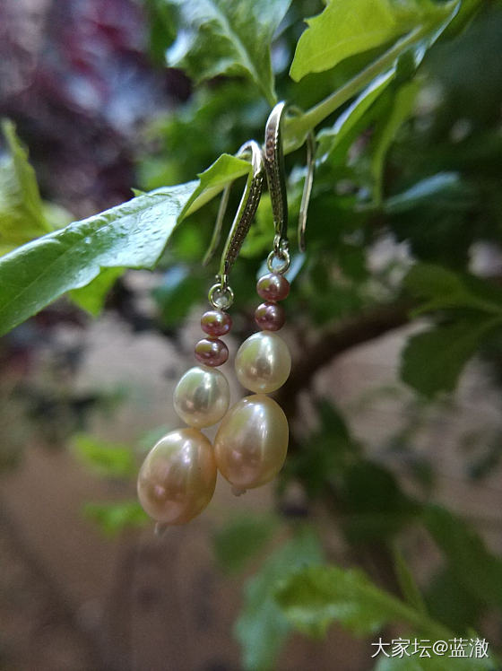 出闲置～各种淡水珍珠首饰_有机宝石