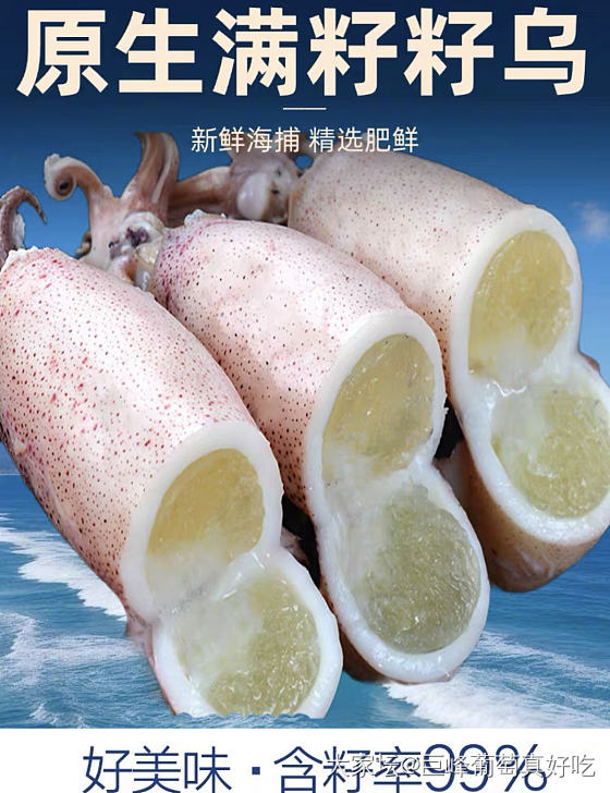 我的海兔干被那个糟心的老公处理成了鱿鱼干_美食