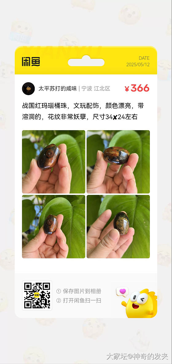 战国红玛瑙160_有机宝石