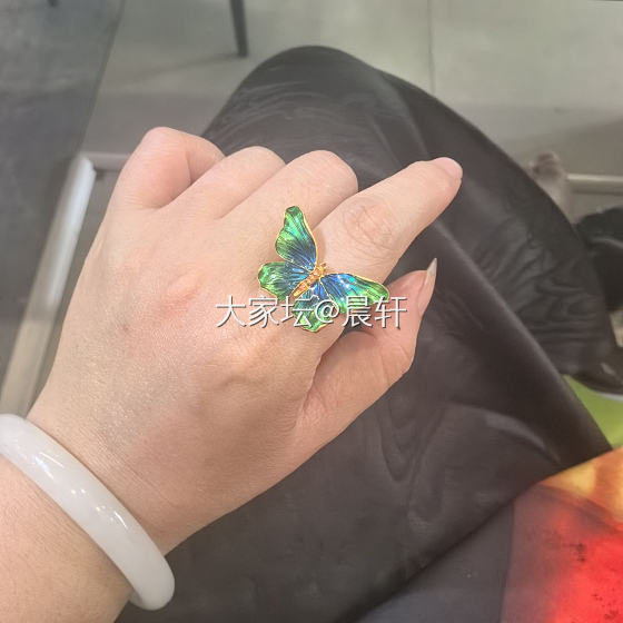 校长家的炫彩蝴蝶_金