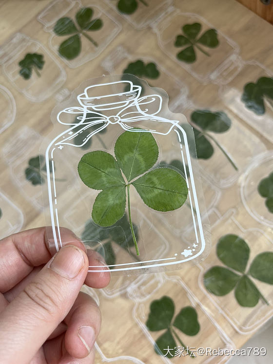 自制真四叶草🍀干花书签_品味