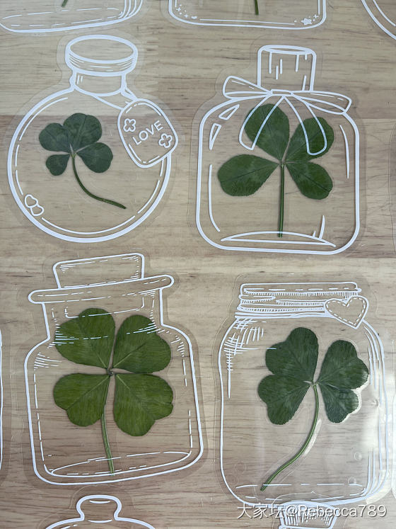 自制真四叶草🍀干花书签_品味