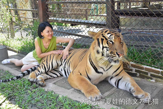 这样的小猫有人想养吗_猫