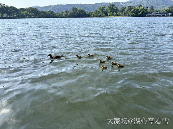 是谁？竟如此逍遥？_旅游