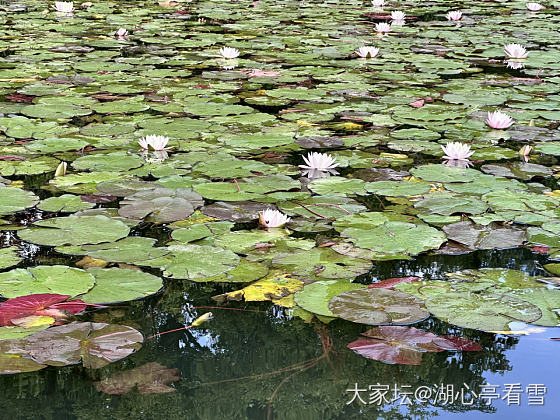 是谁？竟如此逍遥？_旅游