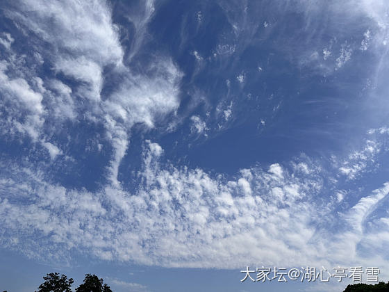 是谁？竟如此逍遥？_旅游