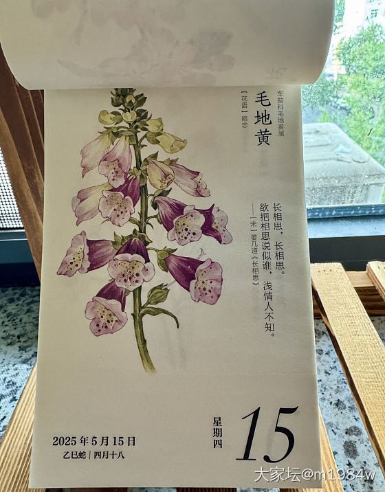 2024.11.11—2025.5.15
玉环栀子花
终于开了❤️_植物