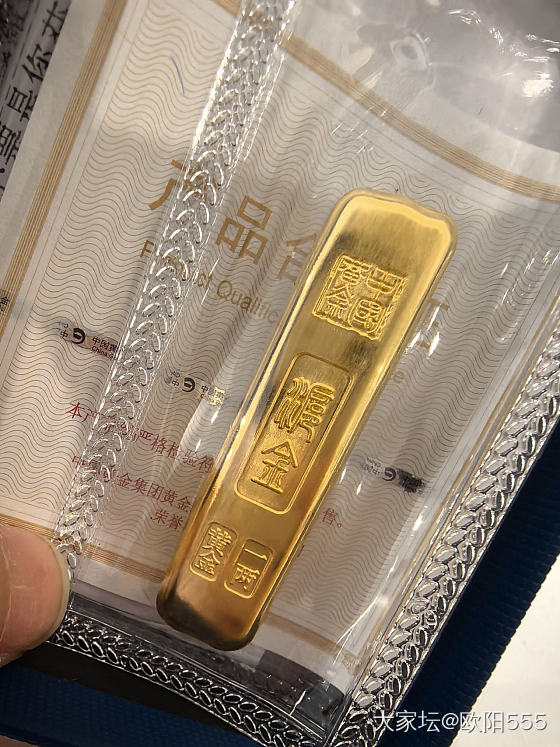 任性的代价_金