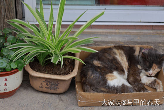 古镇摄影_闲聊摄影