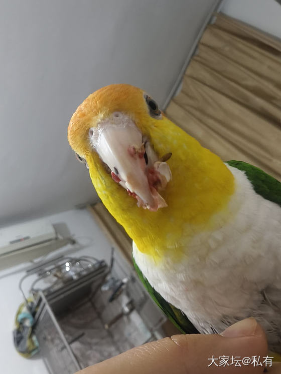 今天是蓝加绿组合_手饰翡翠