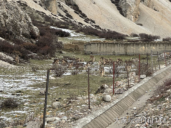 摩旅第二篇_旅游