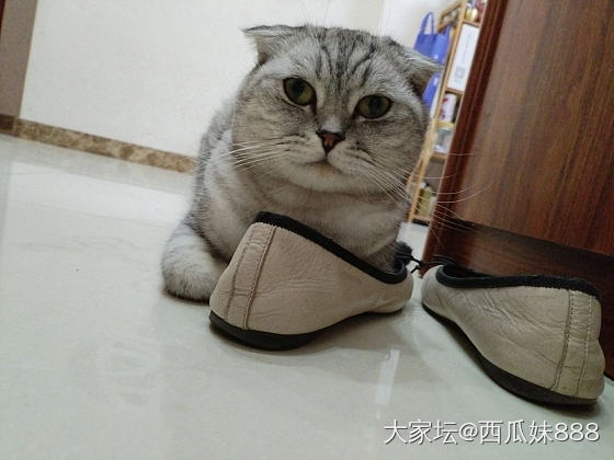 深感没有淘金币寸步难行。。。_天猫