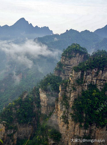 下个月公司组织去贵州和张家界玩_旅游