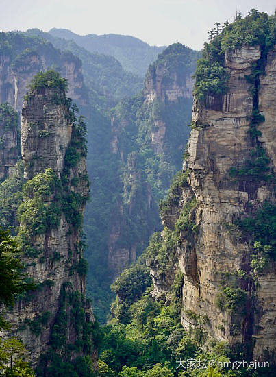 下个月公司组织去贵州和张家界玩_旅游