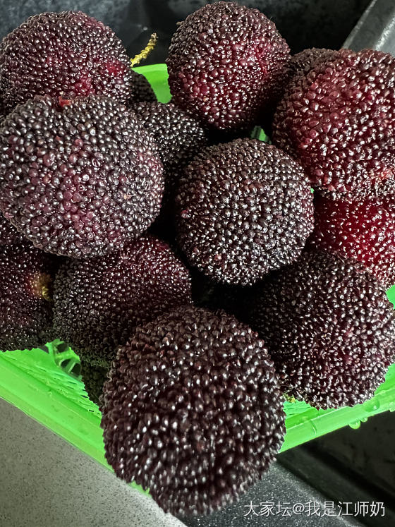 昨天热得虚脱，今天好好休息一下吧。