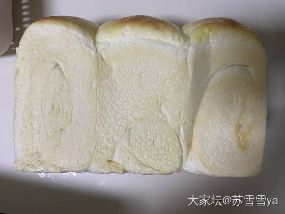 一只猛猛的吐司