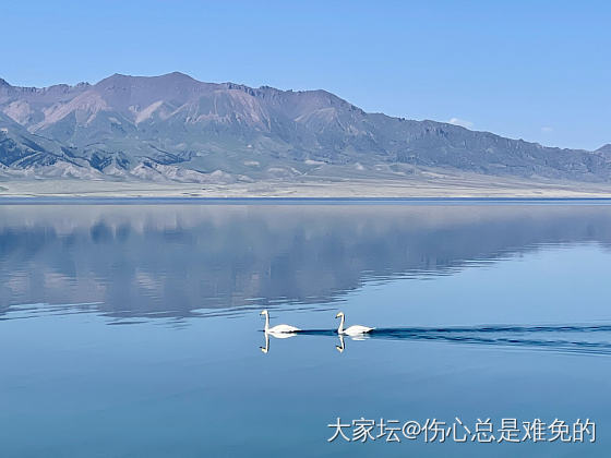 来新疆呀_旅游