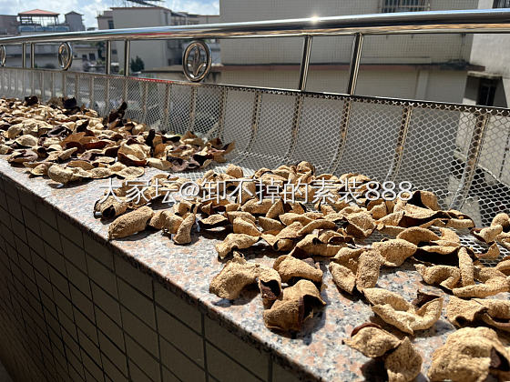 一两陈皮一两金，百年陈皮胜黄金🌞_美食