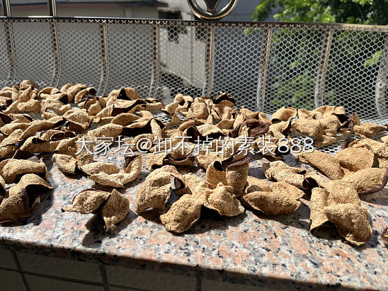 一两陈皮一两金，百年陈皮胜黄金🌞_美食