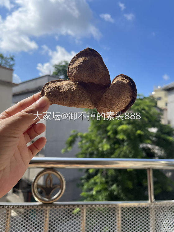 一两陈皮一两金，百年陈皮胜黄金🌞_美食
