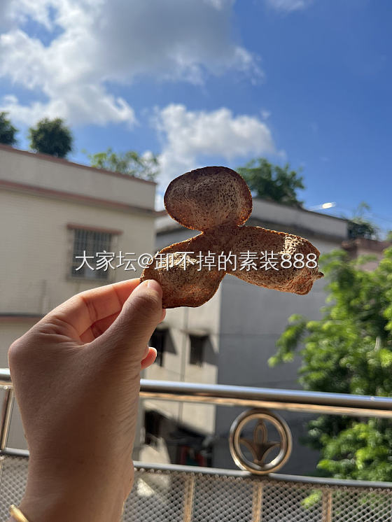 一两陈皮一两金，百年陈皮胜黄金🌞_美食