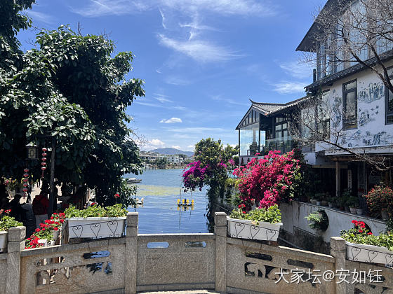 又见双廊_旅游