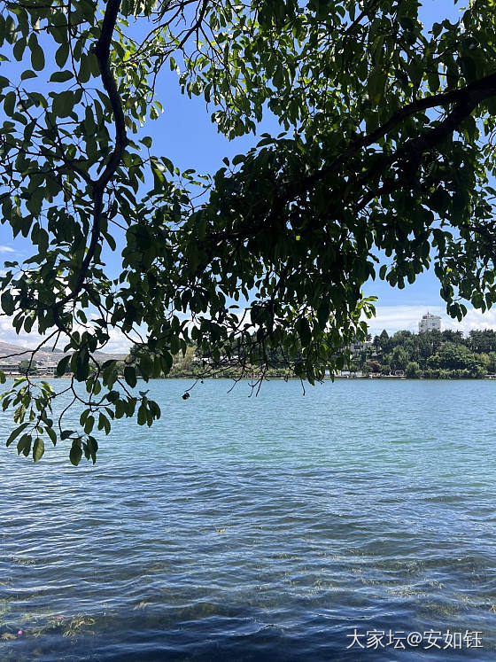 又见双廊_旅游