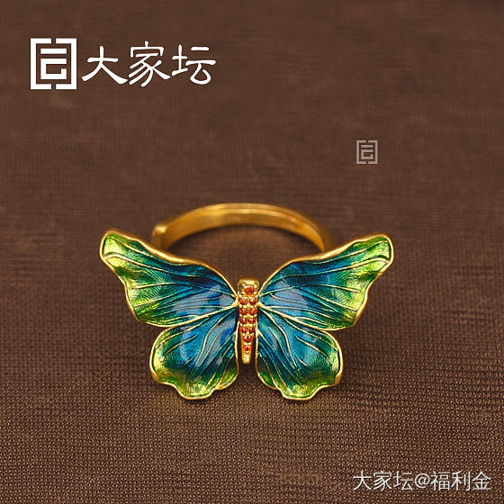 幻彩蝴蝶系列 拼团20250523期（5月24日下午三点截团）_金
