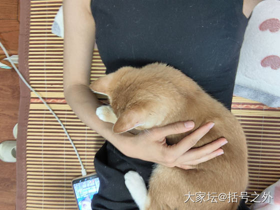 手段极其残忍！_美食
