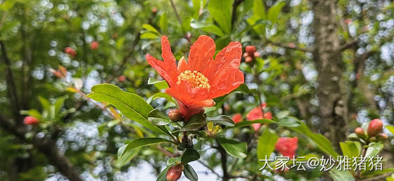 一个星期瘦两斤怎么做到呀？急_减肥