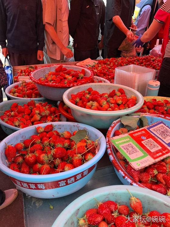 感受下大山东的早市_东北