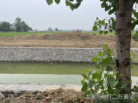 自建房今日上梁_闲聊房子
