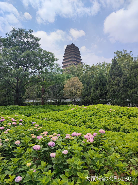 小雁塔……天气凉爽出门溜达溜达_旅游