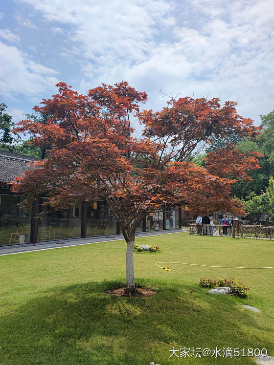 小雁塔……天气凉爽出门溜达溜达_旅游
