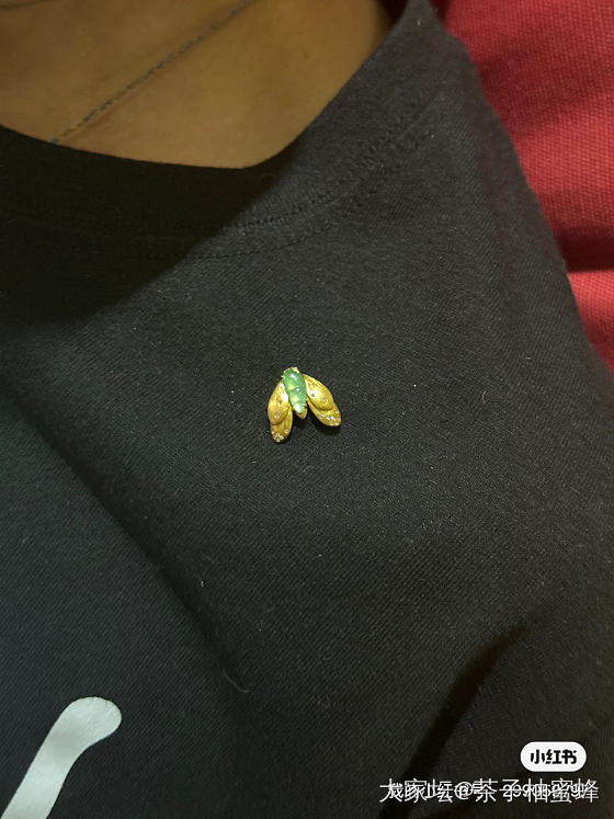 快看～这里有个扑棱蛾子_金