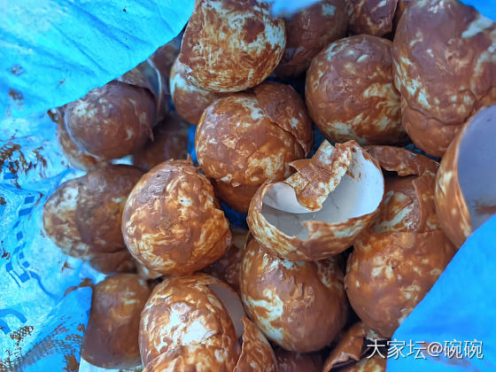 上一个帖子姐妹们说咸鸭蛋是樱桃这个帖子就更离谱了，见者发财哈_水果