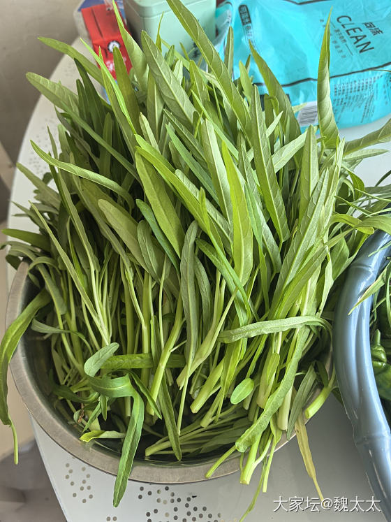 我的小菜园收获了第一批蔬菜_菜园