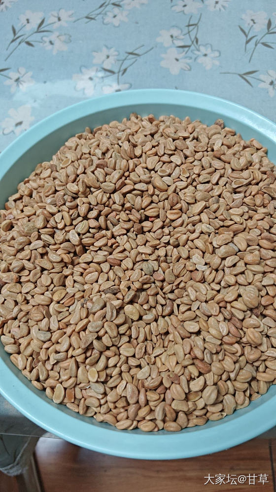 大家都用什么枕头？_闲聊
