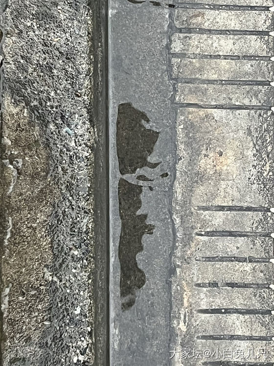 今天的小可爱_花