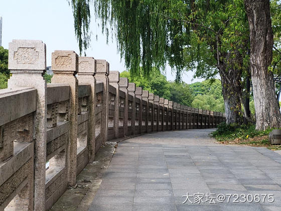 大运河边悠闲散步_景色