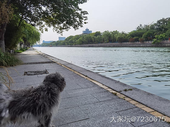 大运河边悠闲散步_景色