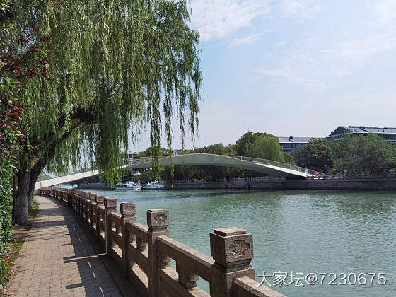 大运河边悠闲散步_景色