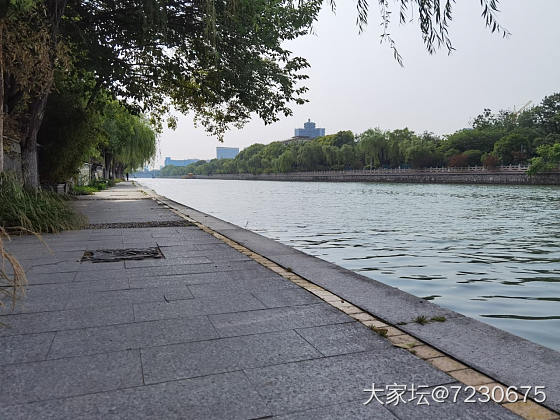 大运河边悠闲散步_景色