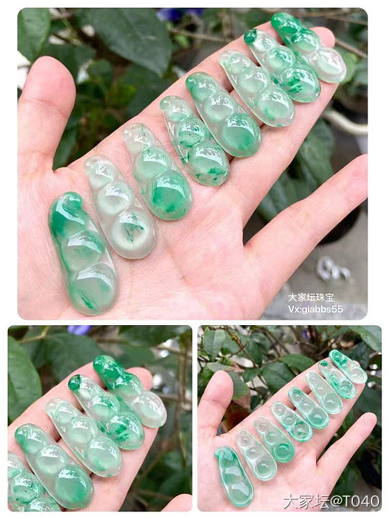 88块的豆子_非洲翠