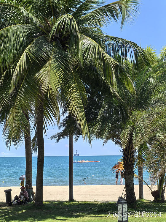 飞个海南看个海_旅游