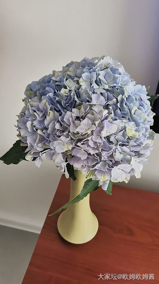 今日份鲜花_花生活